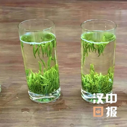 厲害了 漢中這個產業西北第一